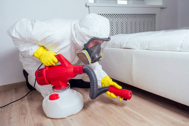 Best Affordable Pest Control Services  in Lewiston, MN